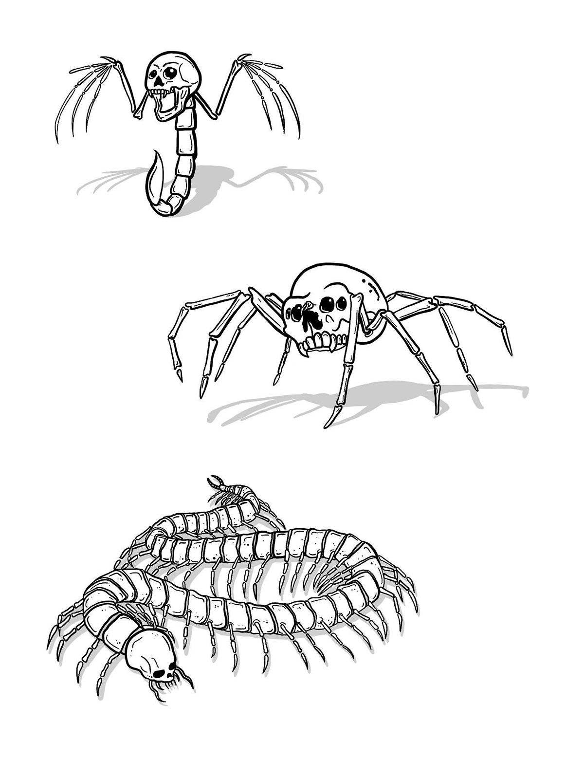 illustration of skeleton insects